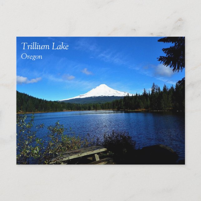 Trillium Lake, OR Postkarte (Vorderseite)