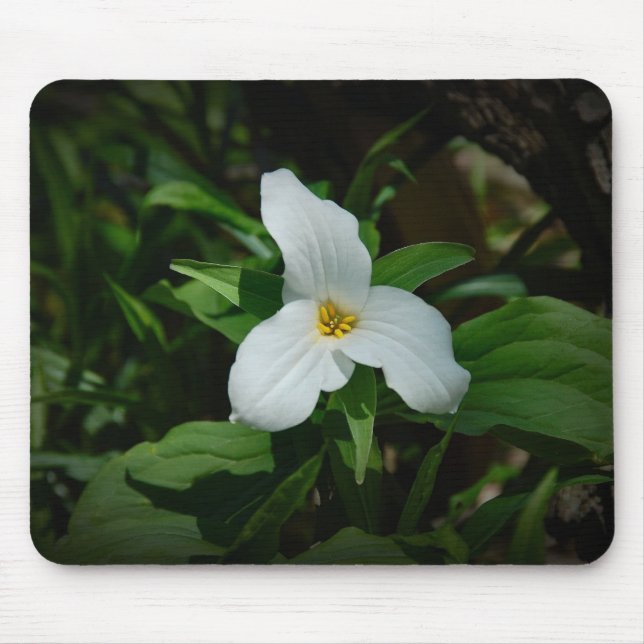 Trillium Mousepad (Vorne)