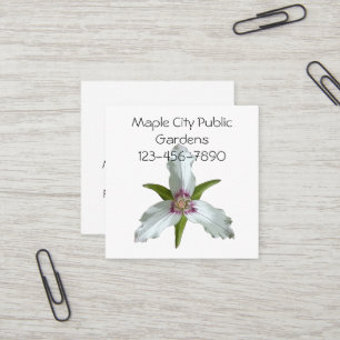 Trillium Spring Wildblume Business Card bemalt Quadratische Visitenkarte