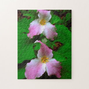 Trillium-Wildblume
