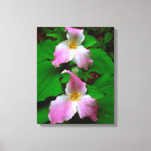 Trillium-Wildblume Leinwanddruck