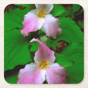 Trillium-Wildblume Rechteckiger Pappuntersetzer