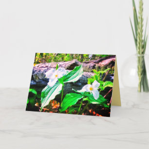 TRILLIUMS BRIGHT GREETCARD KARTE