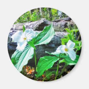 TRILLIUMS-MAGNET MAGNET