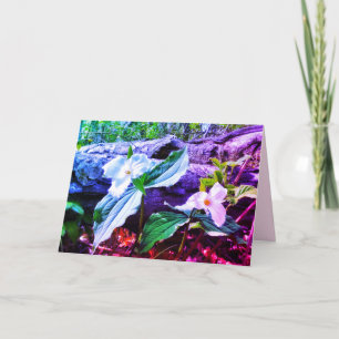 TRILLIUMS RAINBOW GREETKARTE KARTE