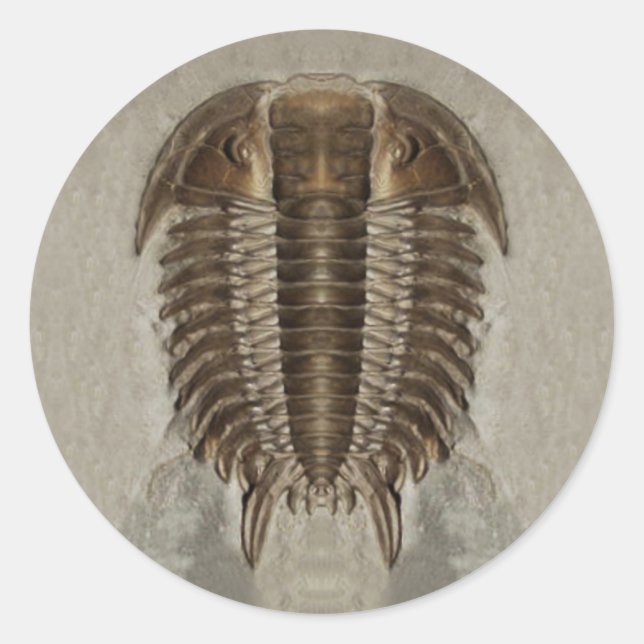 Trilobit Fossil Sticker (Vorderseite)