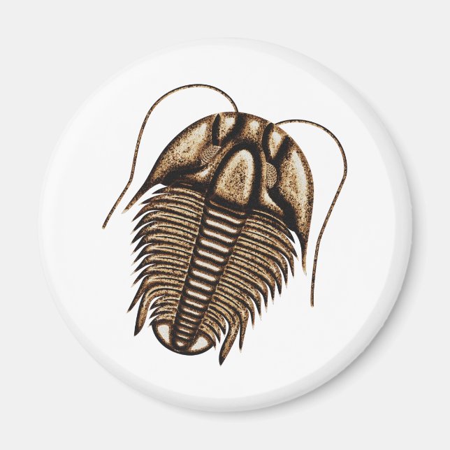Trilobit Kühlschrankmagnet (Vorne)