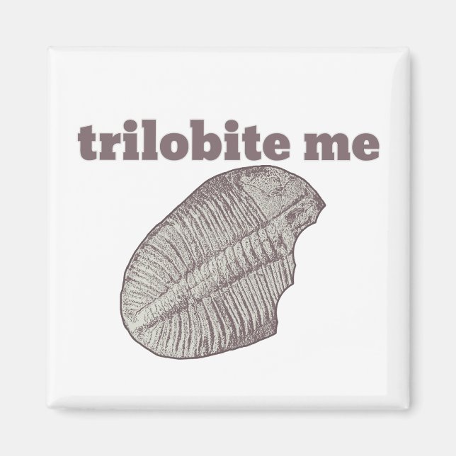 Trilobit Magnet (Vorne)