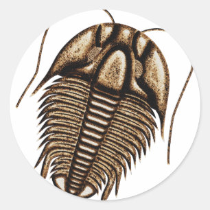 Trilobit Runder Aufkleber