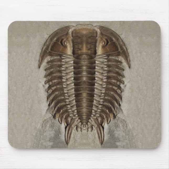 Trilobite Fossil Mousepad (Vorne)