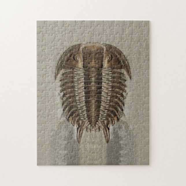 Trilobite Fossil-Puzzlespiel (Vertikal)