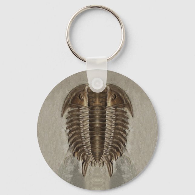 Trilobite Fossil Schlüsselanhänger (Vorderseite)