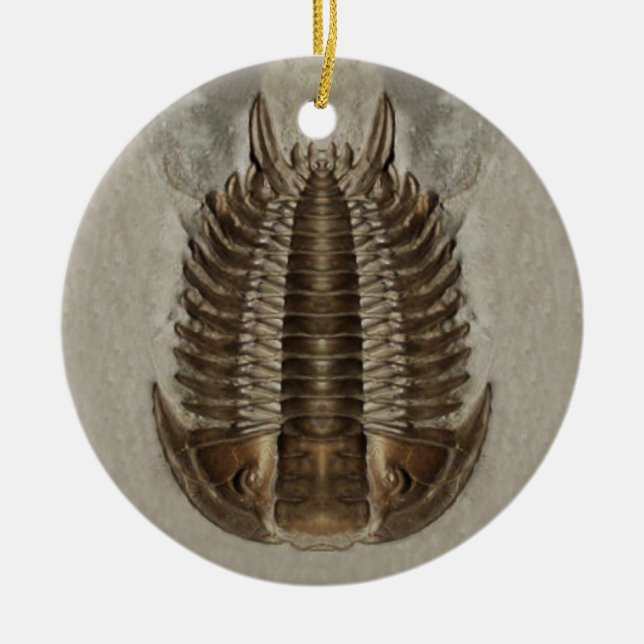 Trilobite Fossil-Verzierung Keramik Ornament (Vorne)