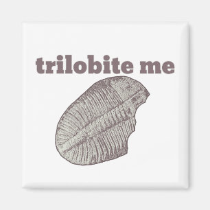 Trilobite ich magnet