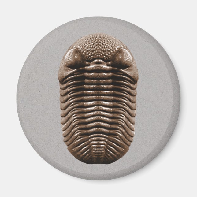 Trilobite Magnet (Vorne)