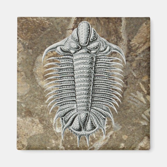 Trilobite Magnet (Vorne)