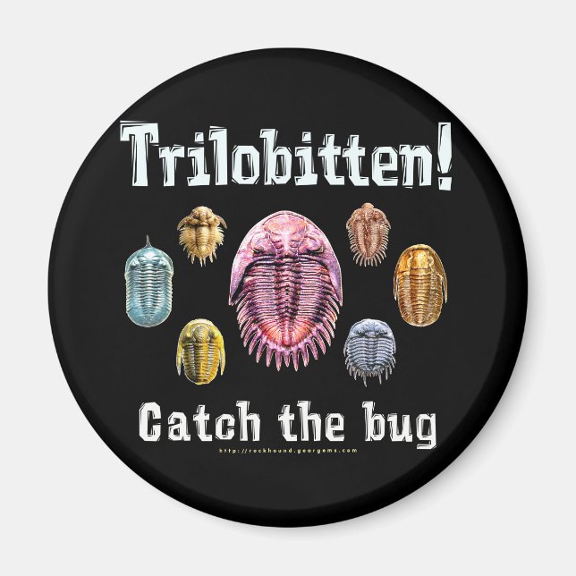 Trilobitten Magnet (Vorne)