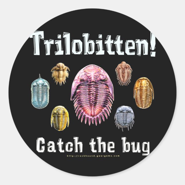 Trilobitten Runder Aufkleber (Vorderseite)