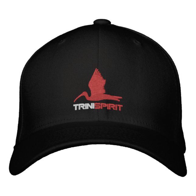 TRINISPIRIT® Flexifit bestickte Cap Baseballkappe (Vorderseite)