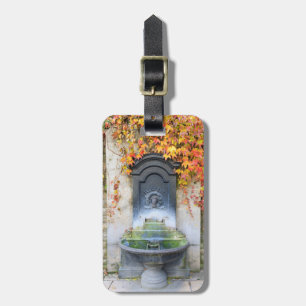 Trinkbrunnen im Herbst, Ungarn Gepäckanhänger