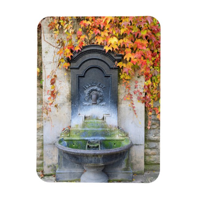 Trinkbrunnen im Herbst, Ungarn Magnet (Vertikal)
