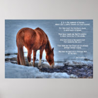 Trinken von Red Dun Ranch Horse & Equine Gedicht