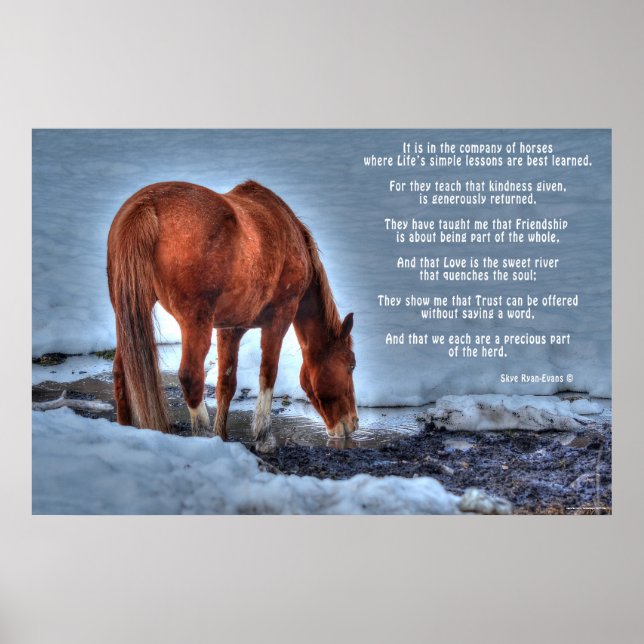Trinken von Red Dun Ranch Horse & Equine Gedicht Poster (Vorne)