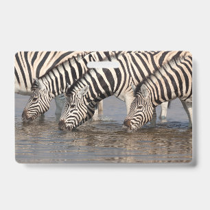 Trinkende Zebras Ausweis