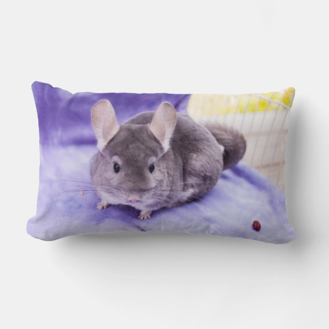 Trinket! - Chinchilla-Kissen Lendenkissen (Vorderseite)