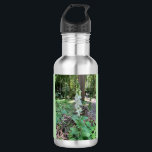Trinkflasche „Wald-Fingerhut“ – stille Natur<br><div class="desc">Diese robuste Edelstahl-Trinkflasche zeigt eine zarte Fingerhut-Blüte (Digitalis) inmitten eines stillen Waldes. Ein Motiv,  das Ruhe und Naturverbundenheit ausdrückt und dich daran erinnert,  auch unterwegs innezuhalten und die Schönheit der kleinen Dinge zu schätzen. Ideal für Ausflüge,  Wanderungen oder einfach für den Alltag – umweltfreundlich und stilvoll zugleich.</div>