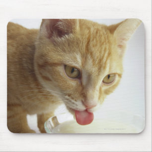Trinkmilch der Katze Mousepad