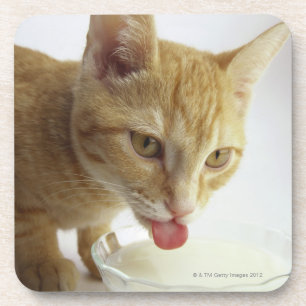 Trinkmilch der Katze Untersetzer