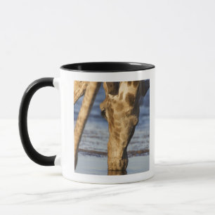 Trinkwasser der Giraffe (Giraffa Camelopardalis) Tasse