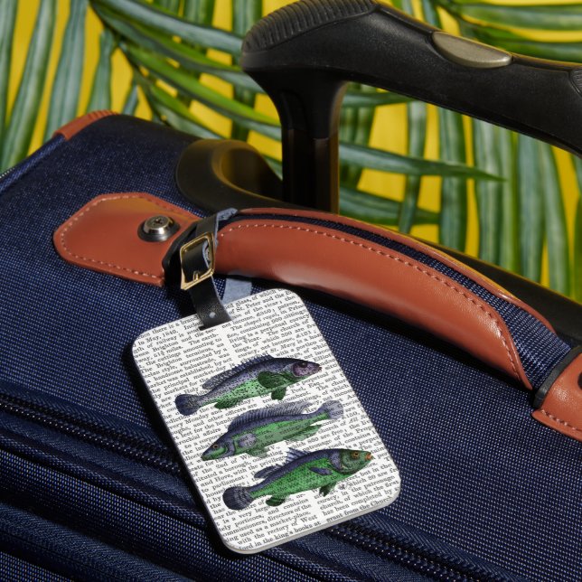Trio Blauer und Grüner Fisch Gepäckanhänger (Vorderseite Insitu 1)