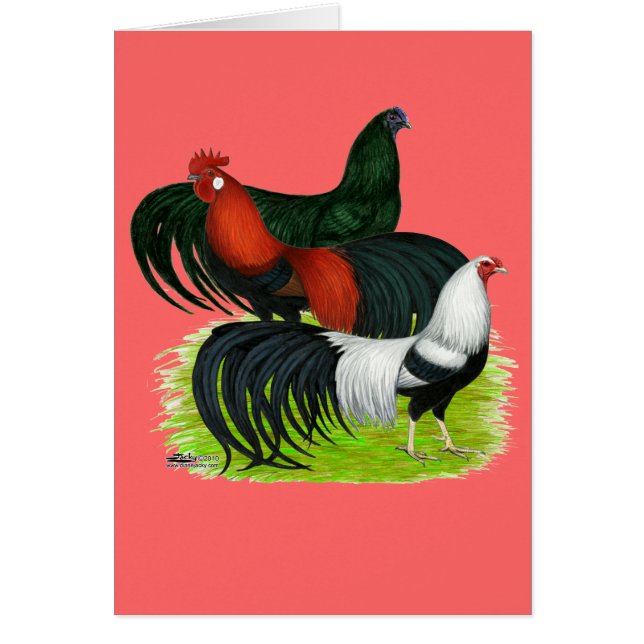 Trio de coq à longue queue (Devant)