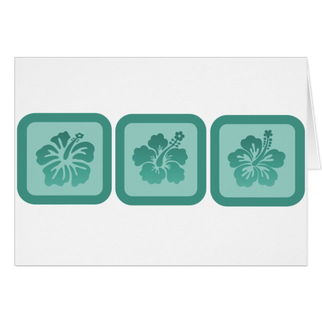 Trio der Blume des Hibiskus (Vorderseite (Horizontal))