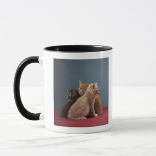 Trio der Kätzchen Tasse