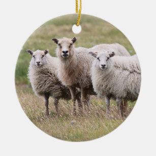 Trio der Schafe in Island Keramik Ornament