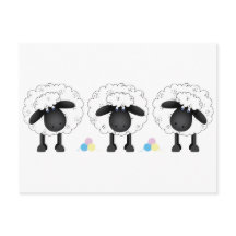 Trio der Schafe
