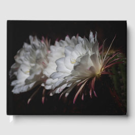Trio der weißen Kakteen-Blume Gästebuch