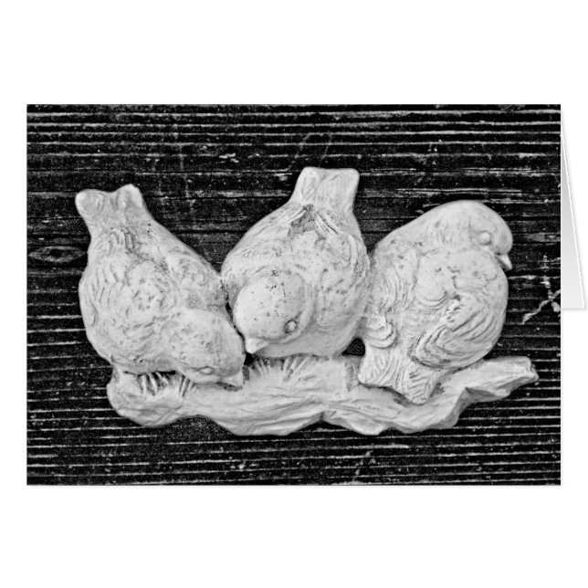 Trio d'oiseaux (Devant Horizontal)