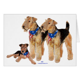 Trio du drapeau patriotique