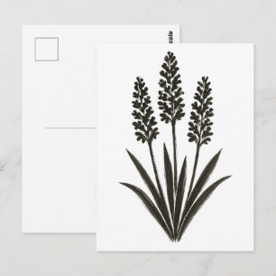 Trio Hyacinth – Feder im Frühjahrs-Botanik-Stil au Postkarte