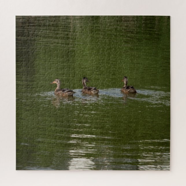 Trio of Ducks (Vertikal)