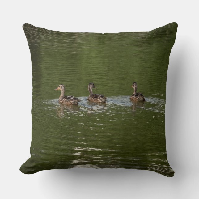 Trio of Ducks Kissen (Vorderseite)