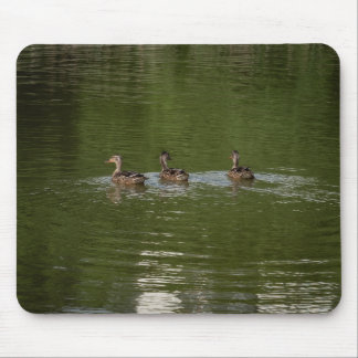 Trio of Ducks Mousepad