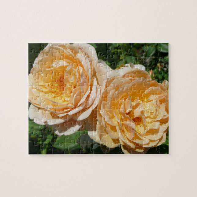 Trio of Peach Rose Floral (Horizontal)