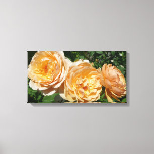Trio of Peach Rose Floral Leinwanddruck