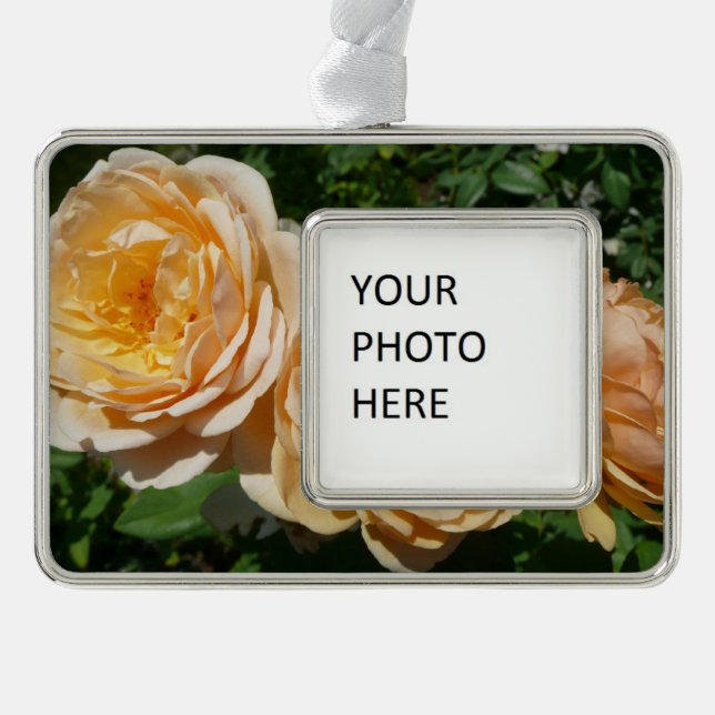 Trio of Peach Rose Floral Rahmen-Ornament Silber (Vorderseite)