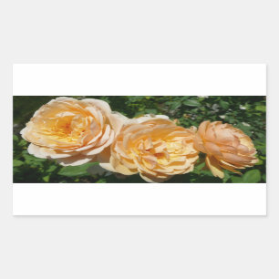 Trio of Peach Rose Floral Rechteckiger Aufkleber
